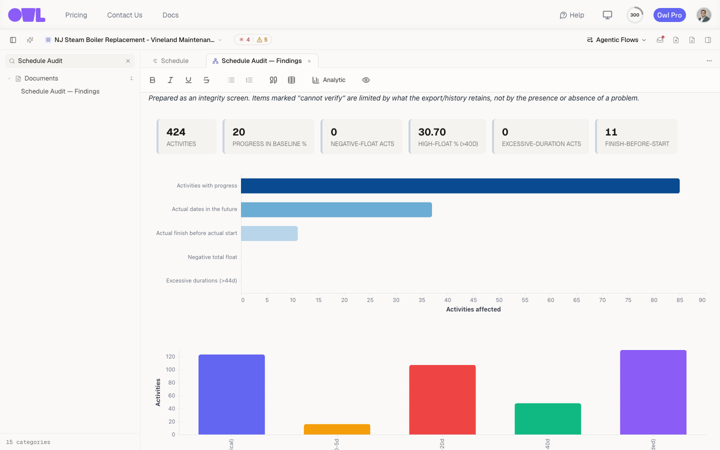 Analytics embedded in the report — a KPI strip of integrity metrics above a bar chart of baseline anomalies.