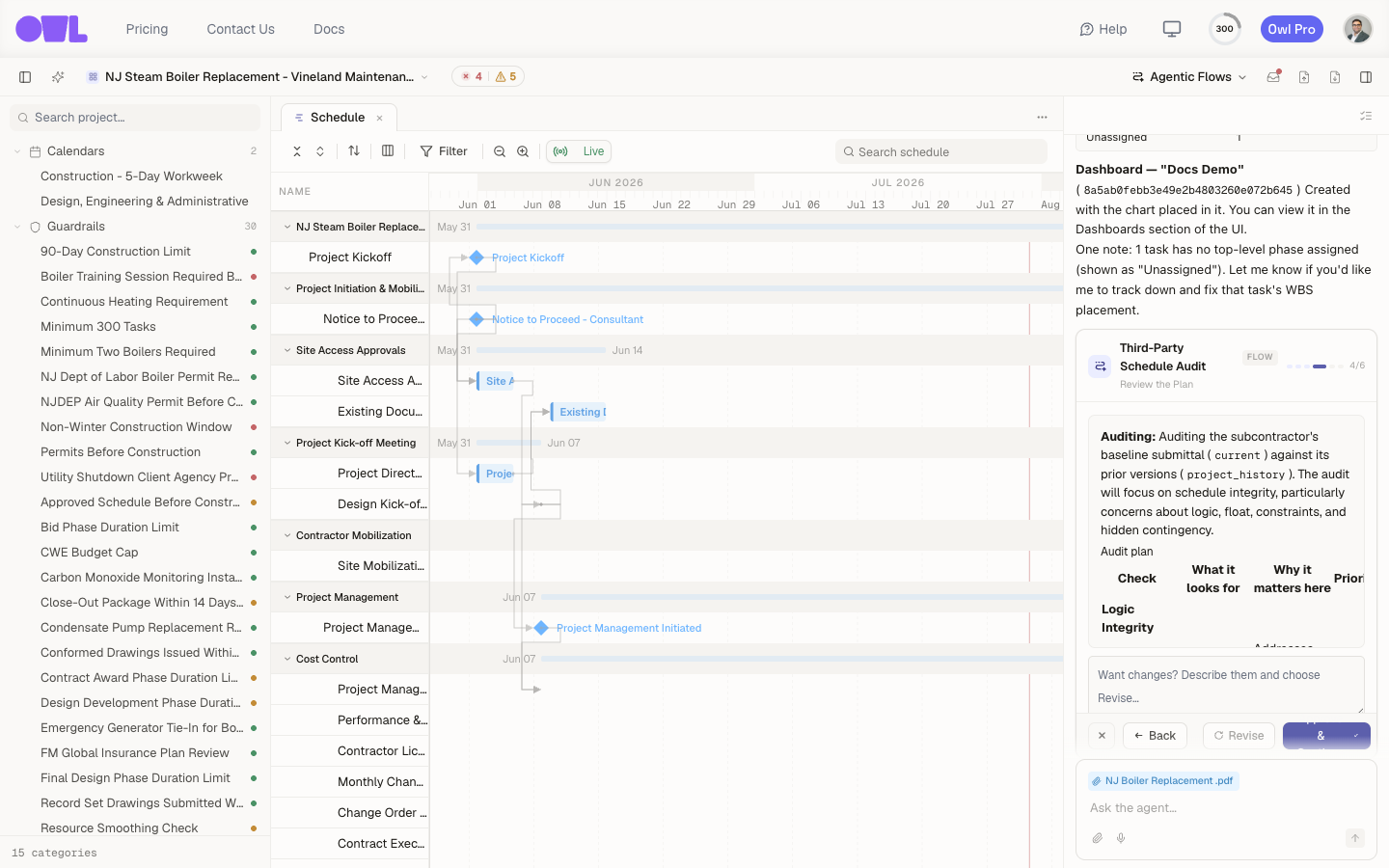Owl's proposed audit plan — a table of checks with what each looks for and why it matters — awaiting approval.