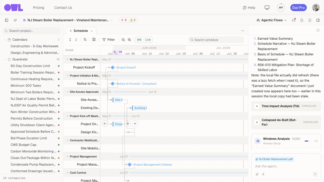 The Windows Analysis setup: how to define the windows, plus optional notes and delays of interest.